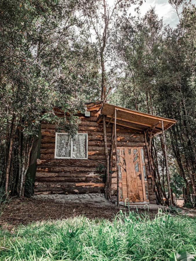 Hermosa Cabana A 5 Minutos Del Aeropuerto